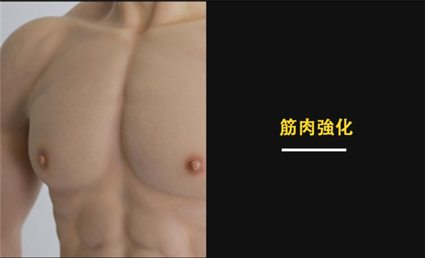 時間限定ビッグセール中！シリコン製　ディルド付きの筋肉スーツ　袖あり　偽腹筋高襟半身タイプ　筋肉仮装　マッチョに変身　コスプレ道具　シリコン雄っぱい　筋肉マン-6