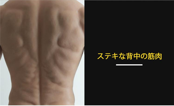 時間限定ビッグセール中！シリコン製　ディルド付きの筋肉スーツ　袖あり　偽腹筋高襟半身タイプ　筋肉仮装　マッチョに変身　コスプレ道具　シリコン雄っぱい　筋肉マン-8