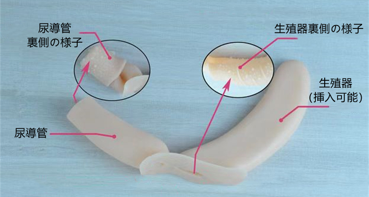 Ｓサイズは小柄のアジア方にもご着用可能　新品の性転換パンツ　大人気の五分丈シリコン下着　裏側がピット縞模様　豊股豊尻　女性器が2つあるシリコン下着オーダー可能　ヒップアップショーツ　ハイウエスト　美尻　リアルな女性器　通気性が良い　女装したい方＆男の娘にお勧め　性転換　変装必要品-10