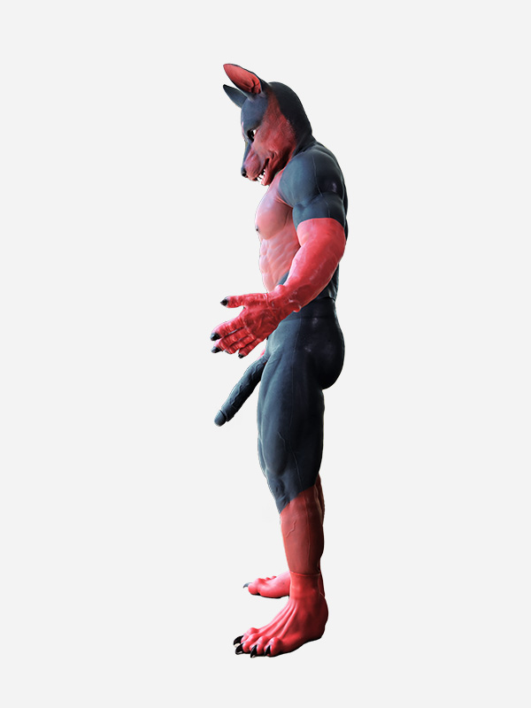 ASTRO　獣人変身　シリコン筋肉スーツ　犬のマスク＆袖付き偽腹筋＆男性器付きロングパンツ＆手袋＆足袋セット12