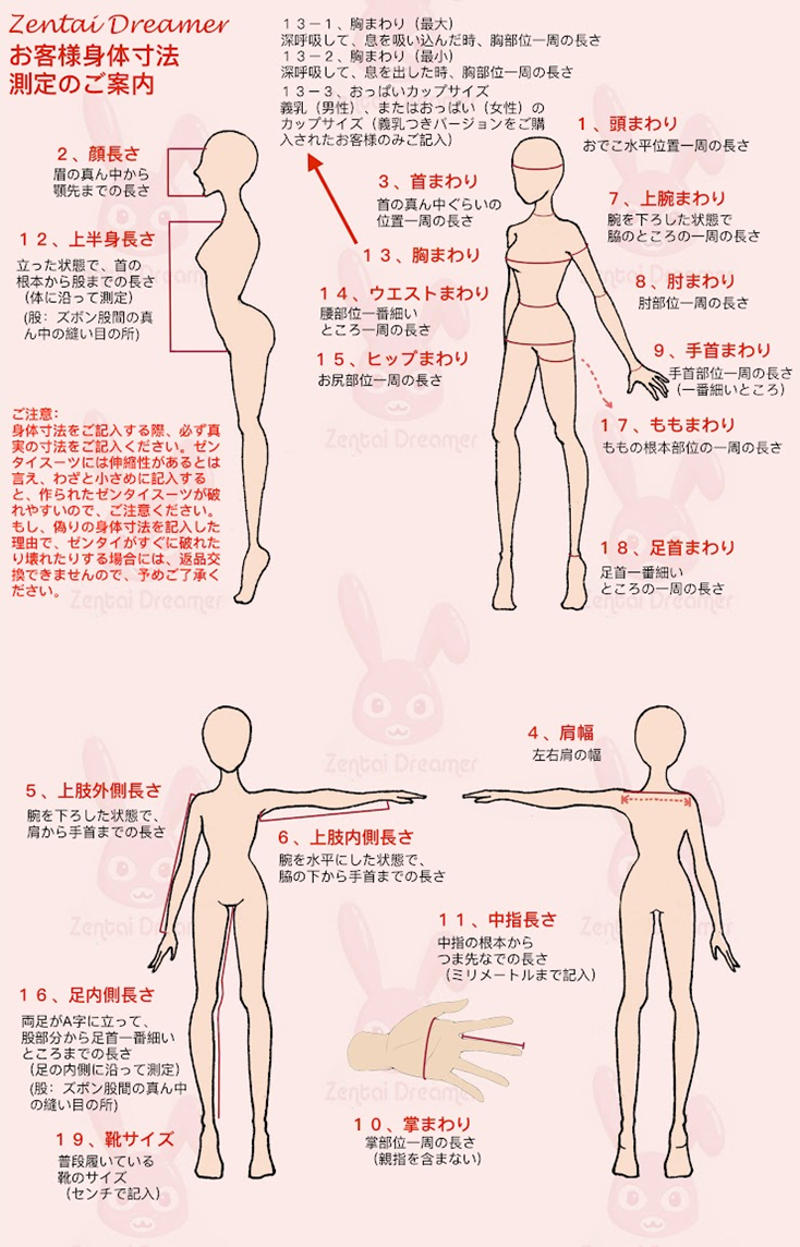 ZD28　アザヤカニシキ　ポリエステル＆スパンデックス　全身タイツ-11