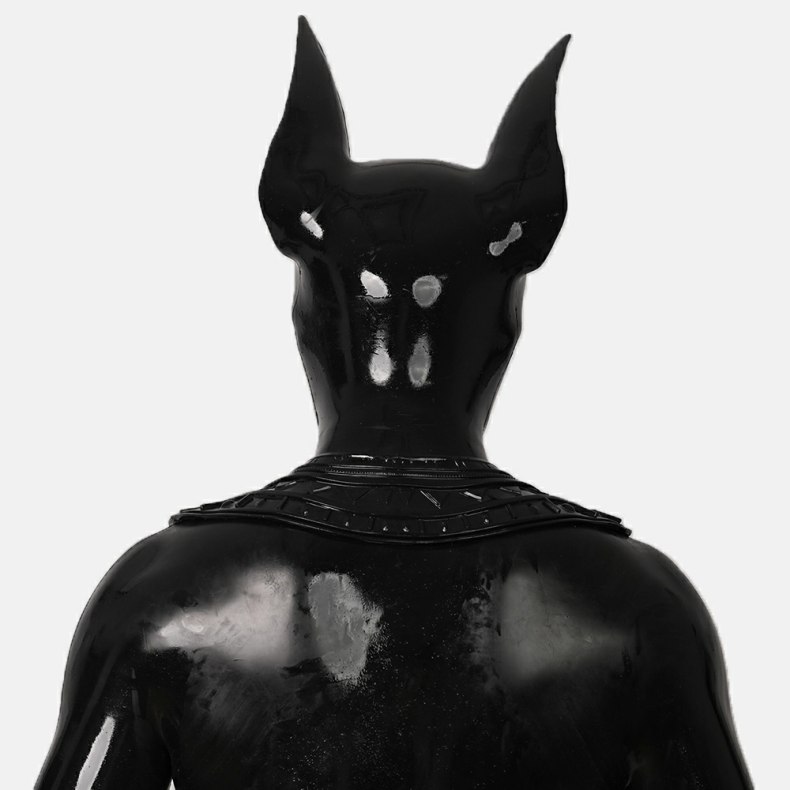 アヌビス　ブラック　全頭マスク　ピカピカシリコン素材製-9