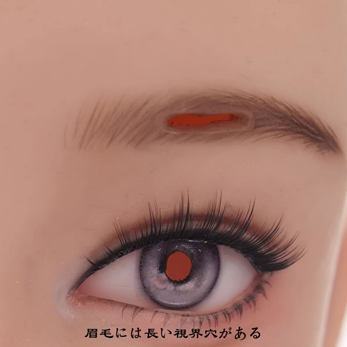 「七つの大罪」　GULA　美人顔フィメールマスク　シリコン素材製　メイク付き　後ろ紐付き／ファスナー付き全頭マスク　瞳付　超リアル　正規品保証　CDCOSER通販　全国送料無料-12