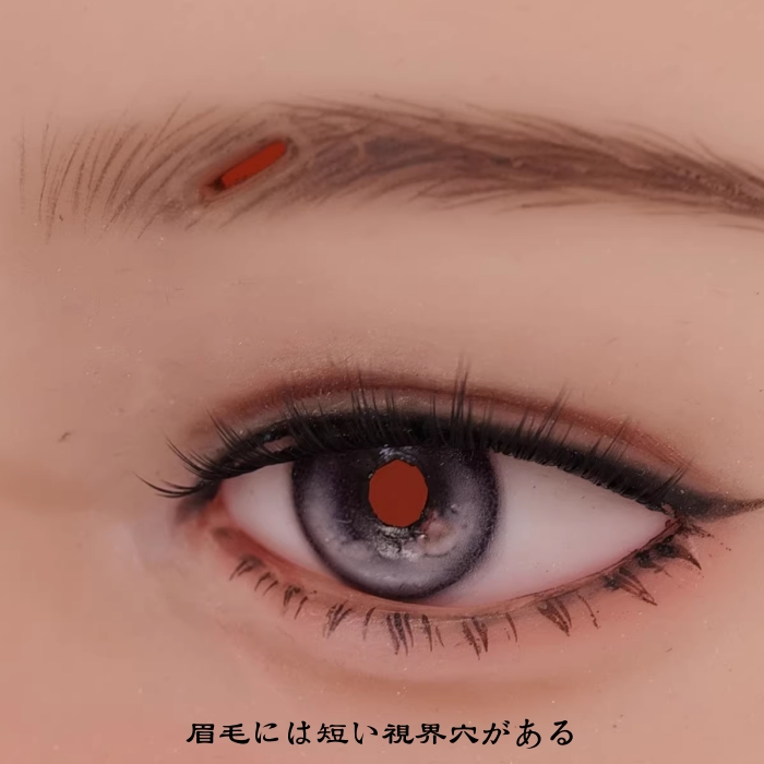 「七つの大罪」GULA　Stellar Blade Eveスペシャルメイク付き　美人顔フィメールマスク　シリコン素材製　後ろ紐付き／ファスナー付き全頭マスク　瞳付　超リアル　正規品保証　CDCOSER通販　全国送料無料-12