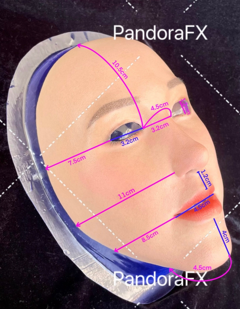 パンドラフィメールマスク　PandoraFX　裏側が粘着力あるハーフマスク　植毛の眉毛　メイク付き　正規品保証　全国送料無料-6